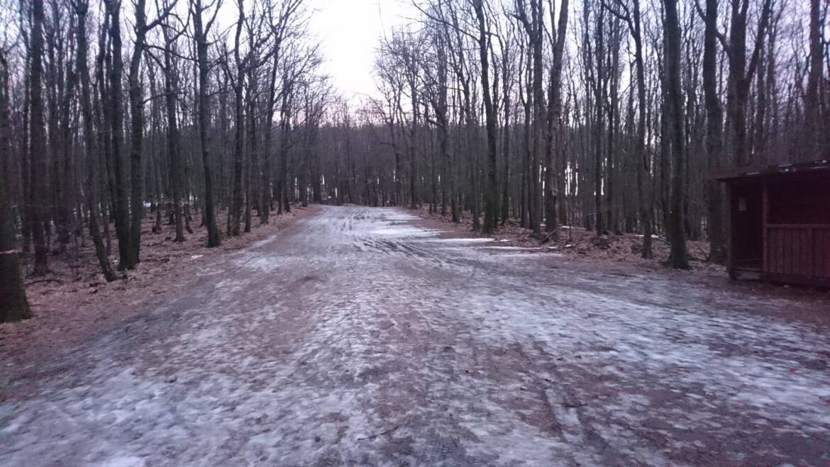 After yesterday's rain, only discontinuous remnants of snow remained.