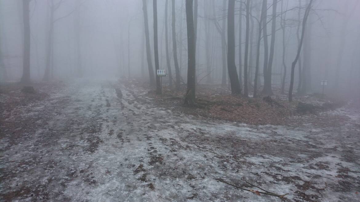 After crushed snow, ice surfaces remained.