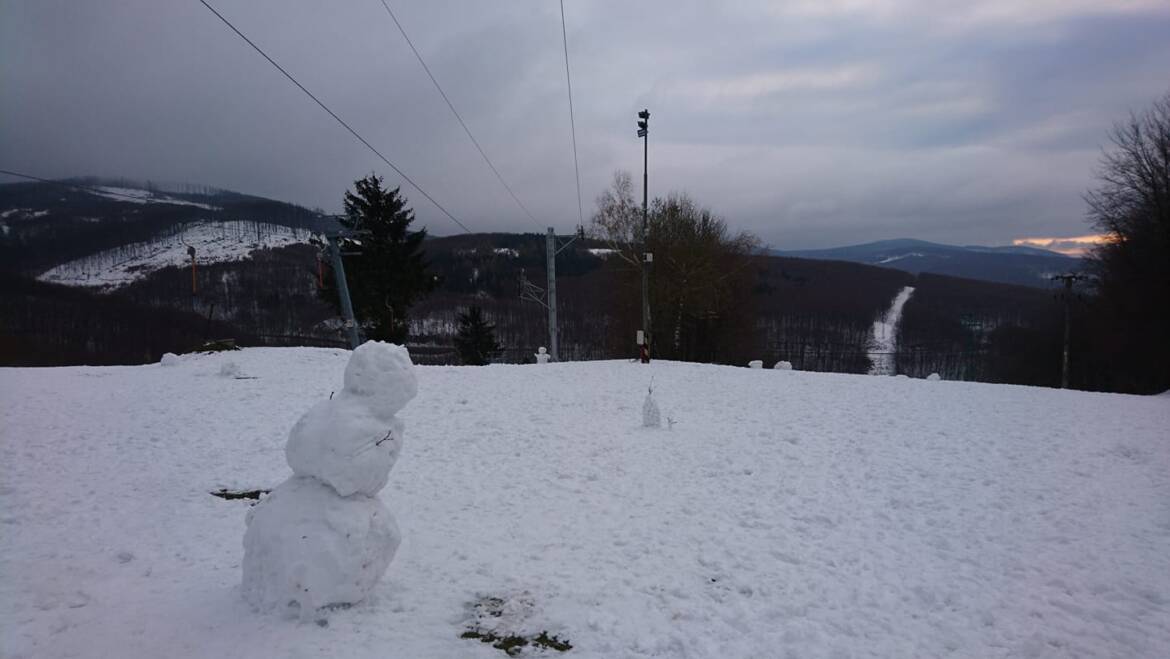 V lese je aj do 20 cm neutlačeného snehu.