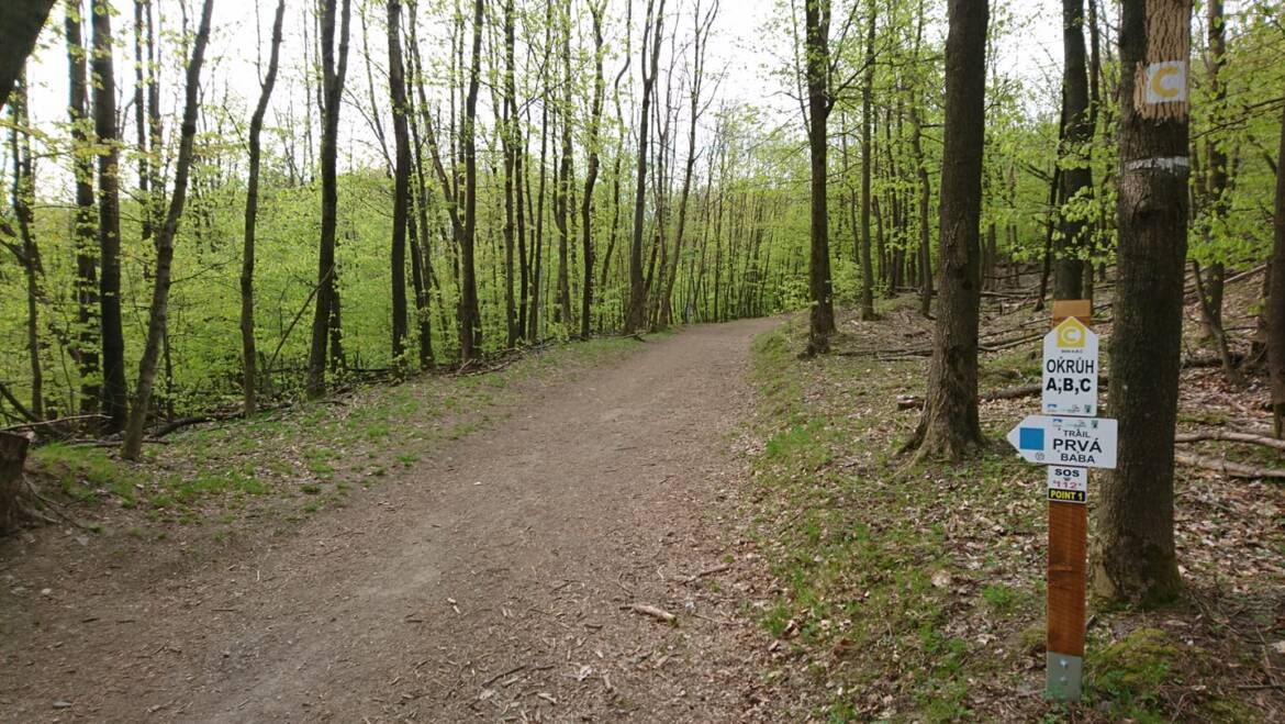 Skúšobná prevádzka prvého trailu spojená aj s prevádzkou vleku.