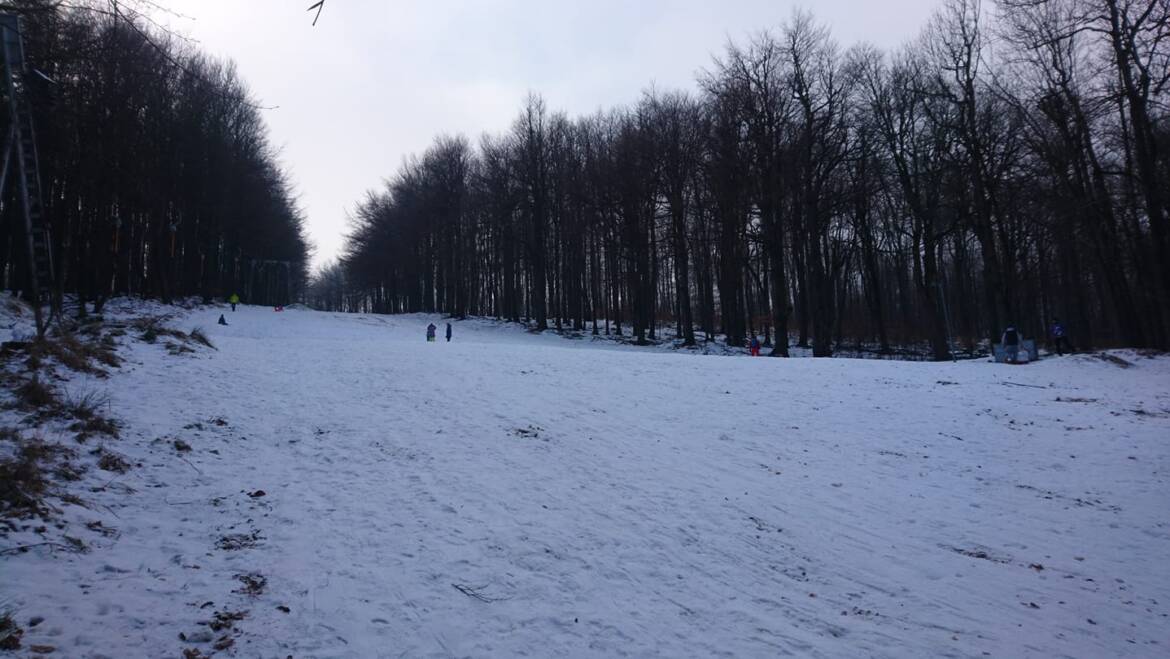 You can sled on the slope at the VL1000 lift.