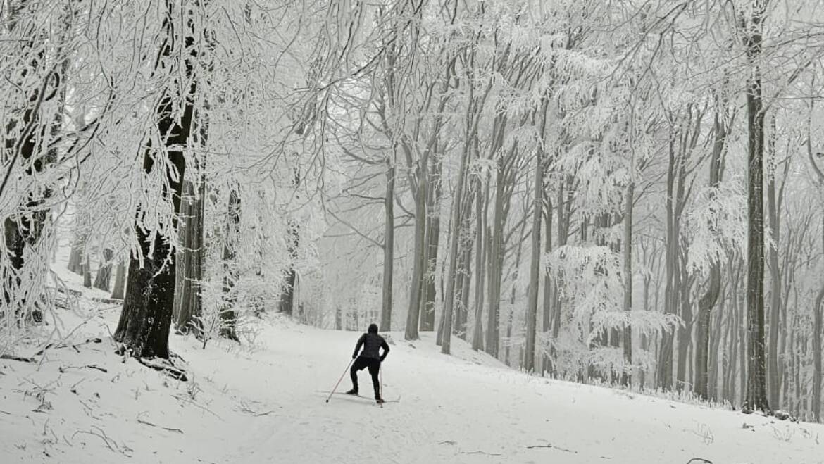 Information for cross-country skiing.